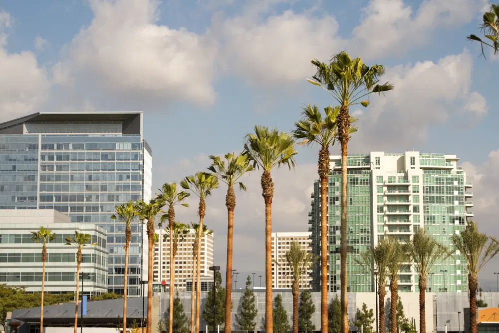 Skyscrapers and palm trees in Irvine, highlighting the expertise of a Top Real Estate Agent in Irvine