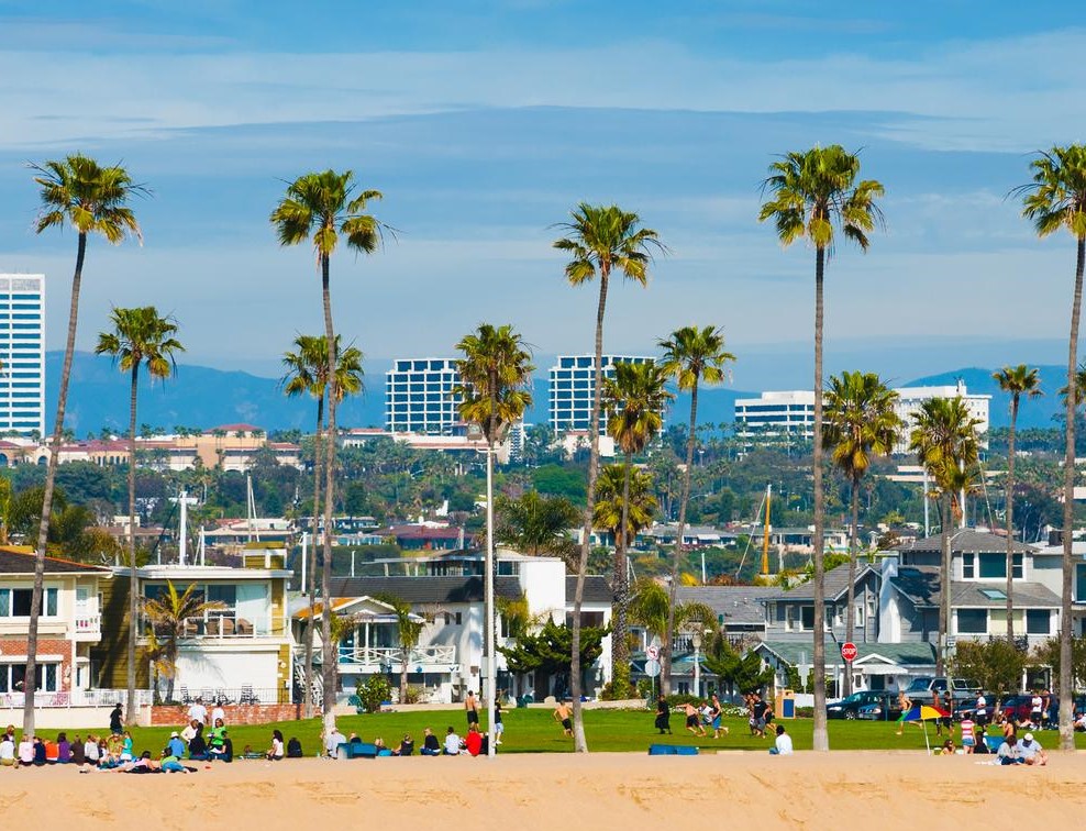 Scenic view of Newport Beach with palm trees and coastal homes, highlighting the Best Real Estate Agent in Newport Beach.